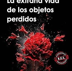 LA EXTRAÑA VIDA DE LOS OBJETOS PERDIDOS- FLANAGAN MCPHEE