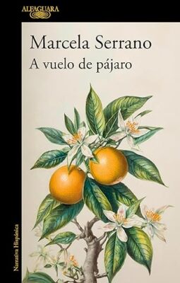 A vuelo de pájaro. Novedades editoriales noviembre 2024