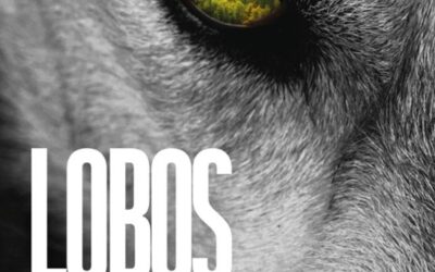 LOBOS FEROCES – CARLOS GARCÍA MIRANDA
