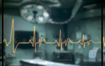 No me dejes nunca, Wonder