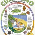 Cuaderno de verano