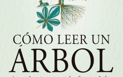 Cómo leer un árbol