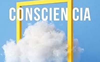 El camino de la consciencia