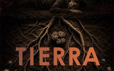 Tierra negra