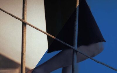 De las sombras me encargo yo