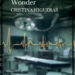NO ME DEJES NUNCA, WONDER
